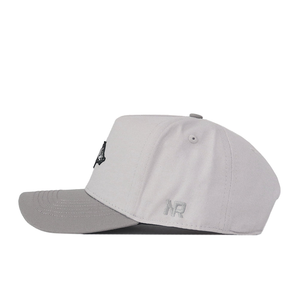 A light gray Arkansas Graphite Hat by No Rivals, featuring a slightly darker gray curved brim and shown in profile. The NR letters are embroidered on the side above the brim, adding a standout embroidered logo detail for a classic gameday fit.