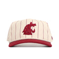 Washington State Pinstripe Hat