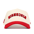 Wisconsin Badgers Upside Down Wisconsin Hat - Classic