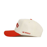 Upside Down CLEMSON Hat - Classic Colors