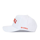 Upside Down TIGERS Hat - Clemson - Whiteout