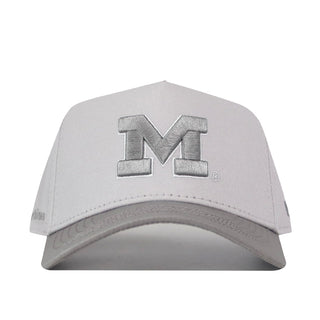Michigan Wolverines Graphite Hat