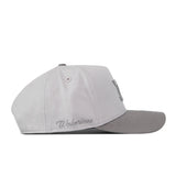 A No Rivals Michigan Wolverines Graphite Hat, featuring a white and gray design with an embroidered cursive Wolverines logo on the side and a classic snap back closure, is shown from the left profile against a white background.
