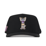 The Washington Huskies Football Mascot Hat - Black by No Rivals is a black baseball cap with an embroidered cartoon dog mascot in a sports jersey numbered 00 and raising its arms on the front center. Made from performance fabric, it includes an adjustable snap back for a comfortable fit.