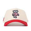 Wisconsin Patch Hat
