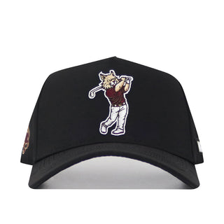 Texas State Golf Hat - Black