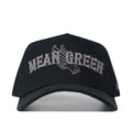 UNT Night Mode Hat