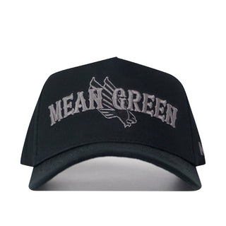 UNT Night Mode Hat