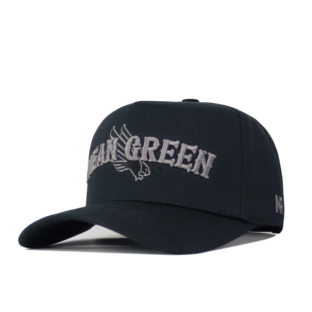 Introducing the UNT Night Mode Hat by No Rivals—a sleek black snapback featuring “Mean Green” and a detailed gray eagle embroidered on the front. Arched lettering and crisp embroidered logos lend a sharp appearance, while the curved bill and side logo complete this officially licensed cap.