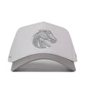 Boise State Graphite Hat