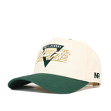 UNC Charlotte Triangle Game Cap Hat