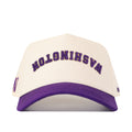 Washington Huskies Upside Down Washington Hat - Classic
