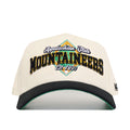 App State Ballpark Hat