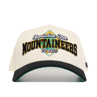 App State Ballpark Hat