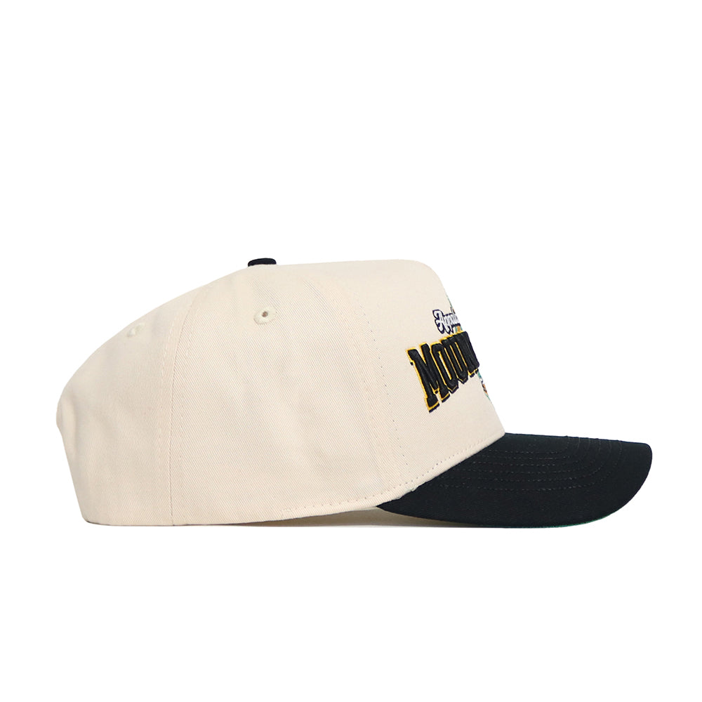 The No Rivals App State Ballpark Hat is a structured beige cotton baseball cap with a black curved brim, seen from the side. The front showcases a yellow and black embroidered design, with some text partially visible.