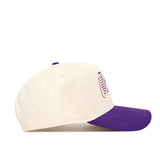 Clemson Triangle Game Cap Hat