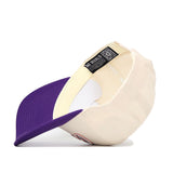 Clemson Triangle Game Cap Hat