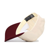 Arizona State Triangle Game Cap Hat