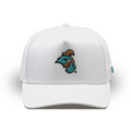Costal Carolina University Gameday Hat