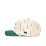 UNC Charlotte Pinstripe Hat