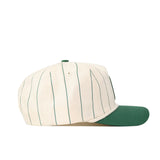 UNC Charlotte Pinstripe Hat