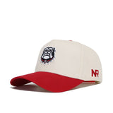 Georgia Bulldogs Logo Hat