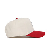 Georgia Bulldogs Logo Hat