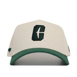 Classic UNC Charlotte Hat