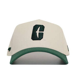 Classic UNC Charlotte Hat