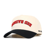 Upside Down Red Raiders Hat - Texas Tech - Classic Colors