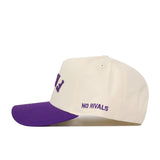 Upside Down FROGS Hat - TCU - Classic Colors