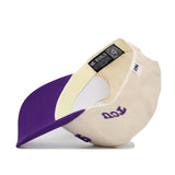 Upside Down FROGS Hat - TCU - Classic Colors