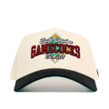 South Carolina Ballpark Hat