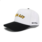 APP STATE Hat - Classic Colors